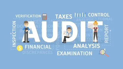 Risk & Audit